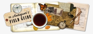 The Antiquer's Field Guide - Healing Cancer With The Power Of Your Mind: Love -