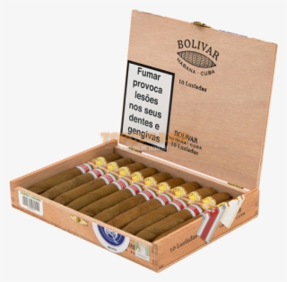 Vegas Robaina Short Robaina Andorra Regional Production - Ammunition