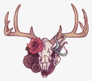 2 - Deer Transparent