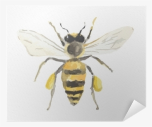Isolated Watercolor Bee On White Background - Watercolor Painting