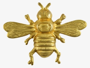 To Download The Png Version Click - Gold Bee Png