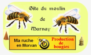 Alternative League For Haitian Progress And Empowerment