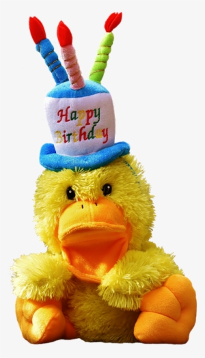 Duck, Birthday, Happy Birthday, Soft Toy - Vanessa Alles Gute Zum Geburtstag