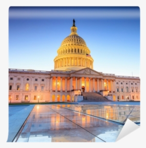 The United States Capitol Building Wall Mural • Pixers® - Delivering Health Care In America By Leiyu Shi