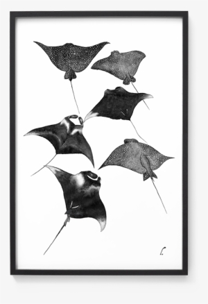 A Watercolor Artwork Inspired By Sea Creatures And - Manta Ray