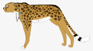 My Cheetah Oc - Cheetah