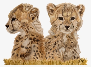 Bleed Area May Not Be Visible - Cheetah