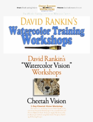 Dora Potty Training Chart