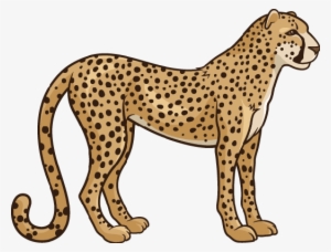 Cheetah Clipart Transparent - Cheetah Clipart