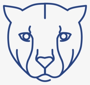 Cheetah Value
