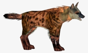 Chasmaporthetes - Spotted Hyena