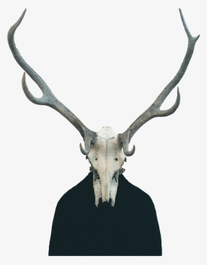 Cowhead1080p-trans - Ronnie Eaton & Cold Hard Truth - Cold; Hard Truth