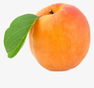 Apricot Png
