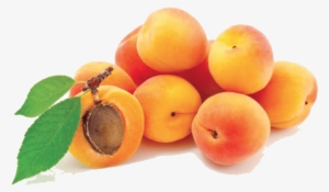 Free Png Apricot Png Images Transparent - Apricot Png