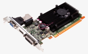 Geforce Gt 520 Oem - Rx 550 Low Profile