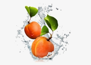 Apricot Png Image Background - Armenian Plum