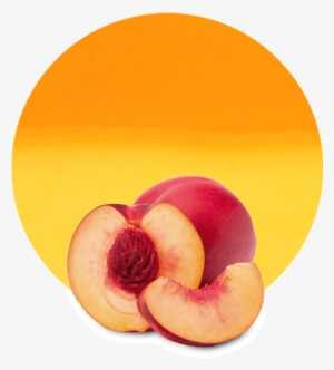Apricot Nectarine Purees Are Perfect For Use In The - Fruit And Vegetables One Cut In Half