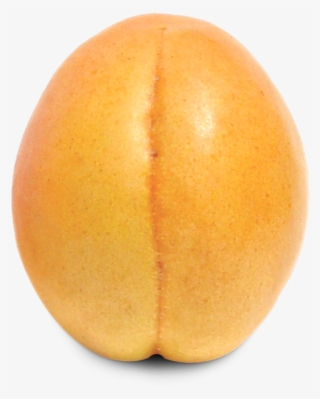 Download Ripe Apricot Fruit Png Image - Nectarine