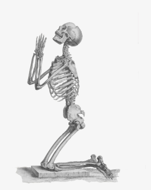 [ Img] - Poetry Lesson By Andrei Codrescu