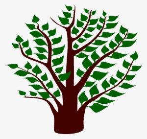 The Sacred Book Of Buddhism Is Called The Tipitaka - Buddhism