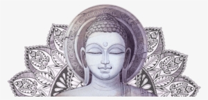 Zoom In Read More - The Daily