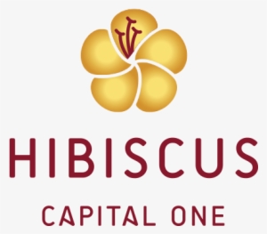 Hibiscus Capital One - Graphic Design