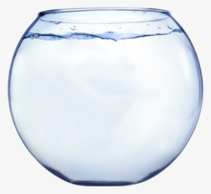 Fish Out Of - Glass Fish Bowl Png
