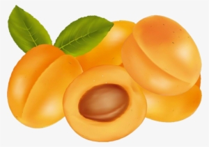 Apricot Transparent Image - Apricot Png Clipart