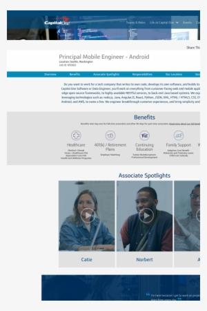 501 - Website