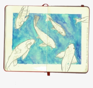 Portland Koi Pond Watercolor, Pencil - Marine Biology
