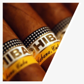 Our Range Of Products - Luxury Cigar