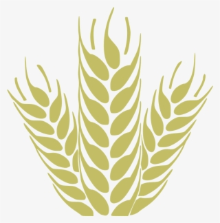 Heypik Support 1 Trego Wheat Easy Edit - Vectores Espigas De Trigo Png