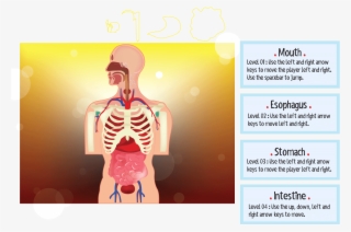 Well, The Top Of The Shape In Yellow That I Create - Let's Start Now