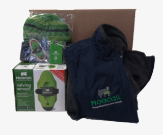 Moocall Christmas Box - Christmas Day