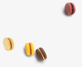Macarons - Macaron