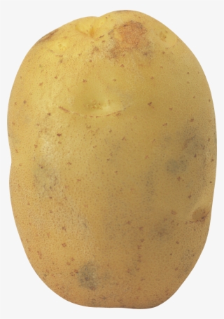 Potato - Potato Png
