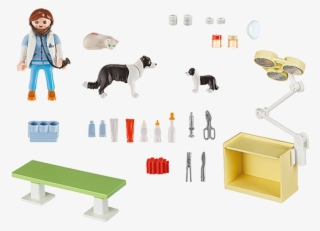 Playmobil City Life 5653 Vet Visit Carry Case Pop Toys - Playmobil 5653