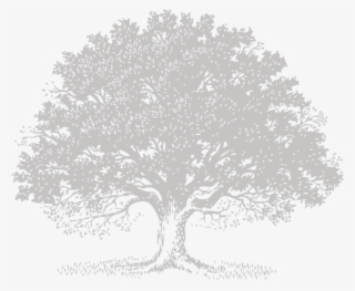 Live Svg Royalty Free Stock Techflourish Collections - Black Oak Tree Logo