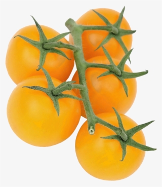 Potato Plant Png