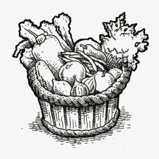 Read The Whole Series Farm To Fable - Produce Drawing