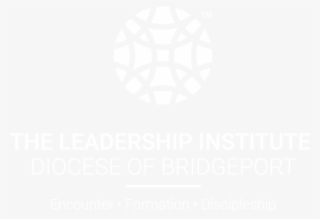 This Project Is A Partnership Between The Diocese Of - Crowne Plaza White Logo