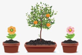 Flowerpot Houseplant Plants Transprent Png Free Download - Seven Secrets Of A Meaningful Life: Find