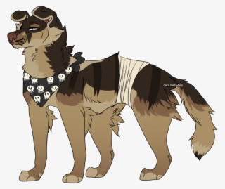 Details - Companion Dog