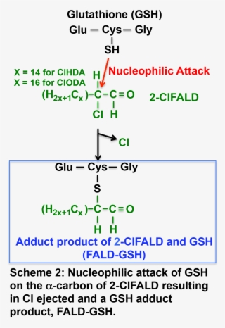 Congratulations To Mark Duerr And Elisa Palladino, - Ford Dental Lab