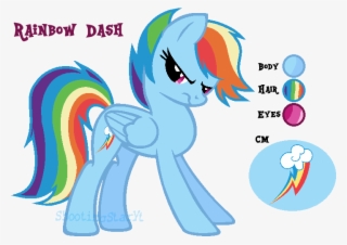My Little Pony Character Fandom Know Your Meme,my Little - Rainbow Dash Avatar