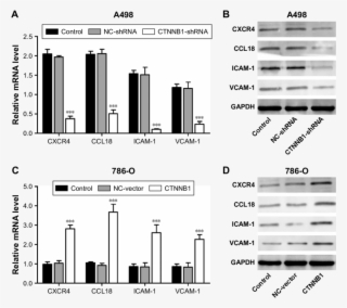 Plko Vector Png Freeuse Download - Portable Network Graphics