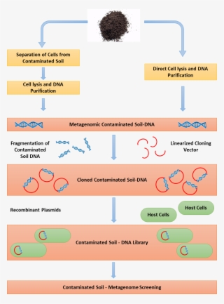 Figure 1 - - Metagenomics Review
