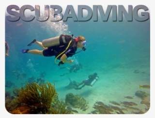 Come Discover Bliss Where Nature And Mysticism Blend