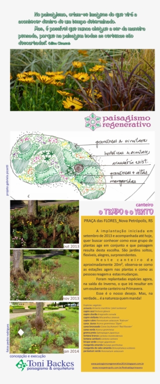 Toni Backes Paisagismo - Botanical Garden