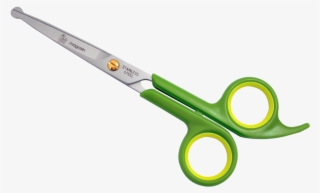 Scissors Picture - Pet Grooming Scissors